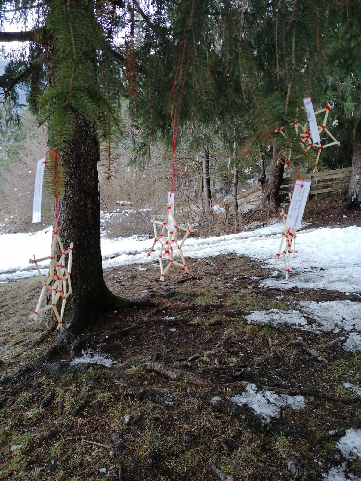 Strohsterne Strohsterne